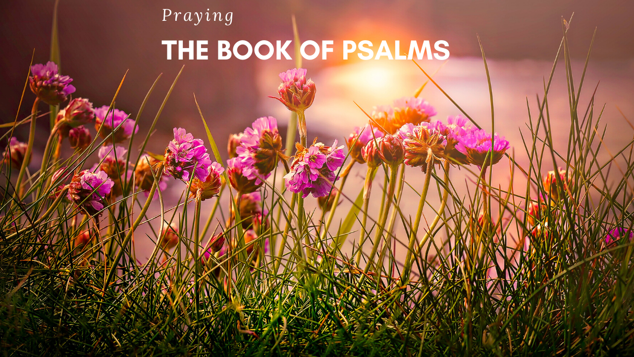 Praying The Book of Psalms Prayer of Protection For The Righteous